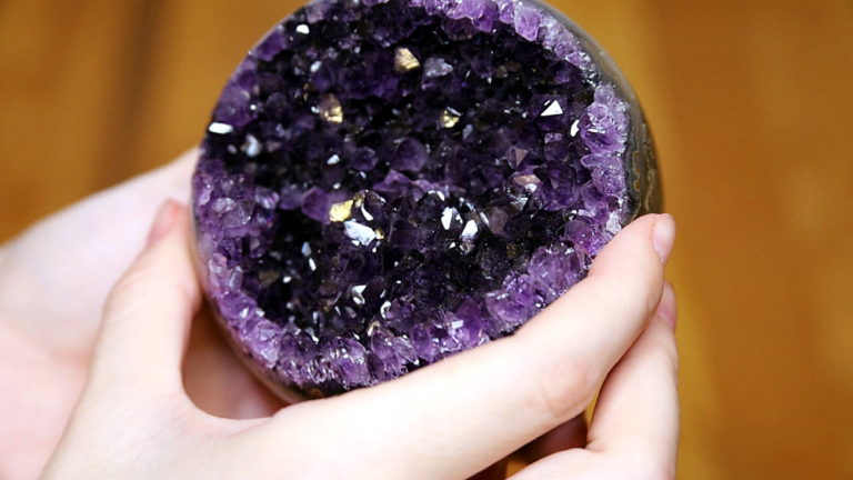 Trunk or Treat Items 4